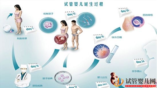 同性试管婴儿下来怎么办理户口Les生孩子需要哪些(图3)