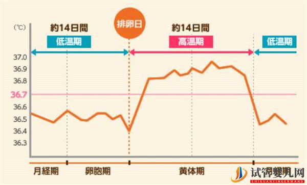 卵泡期对于自然怀孕还是试管婴儿取卵都是很关键的(图1)