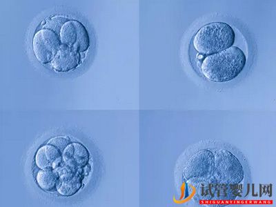 卵巢功能不好还能做试管婴儿吗(图1)