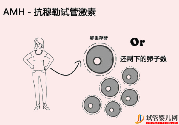 amh值0.05想怀孕你得这么做(图1)