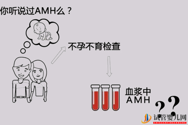 amh0.11想怀孕要看有多少卵泡(图2)