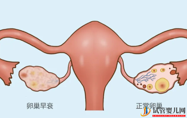 amh值0.15还没绝经就能取卵助孕(图1)