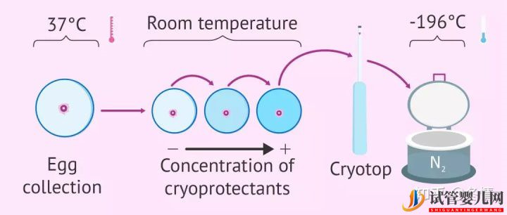 冻胚进周期全流程?(图1)