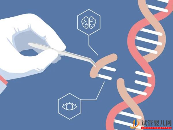 做试管必须重视基因检测(图1)