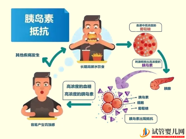 胰岛素抵抗与着床无直接关系？(图2)