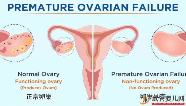 卵巢功能不好也可做试管！成功经验讲述如何把影响缩小(图1)
