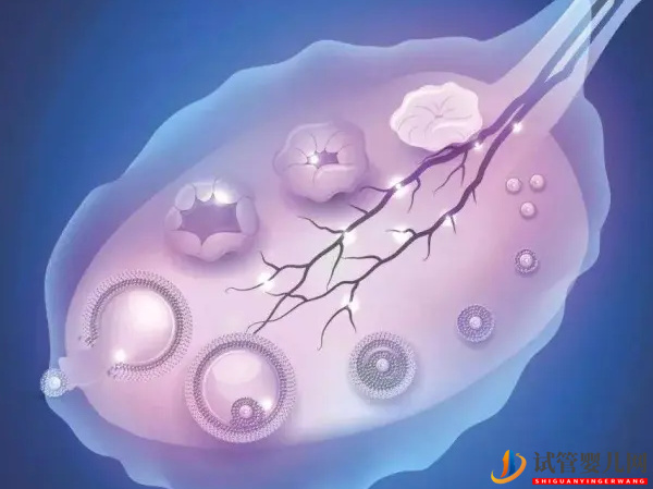 卵巢功能不好也可做试管！成功经验讲述如何把影响缩小(图2)