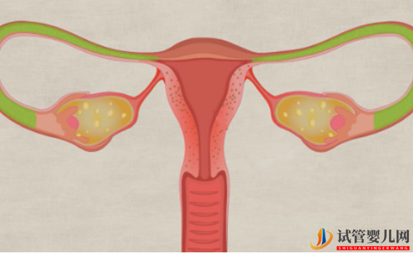 两侧输卵管都切除了还能做试管？(图1)