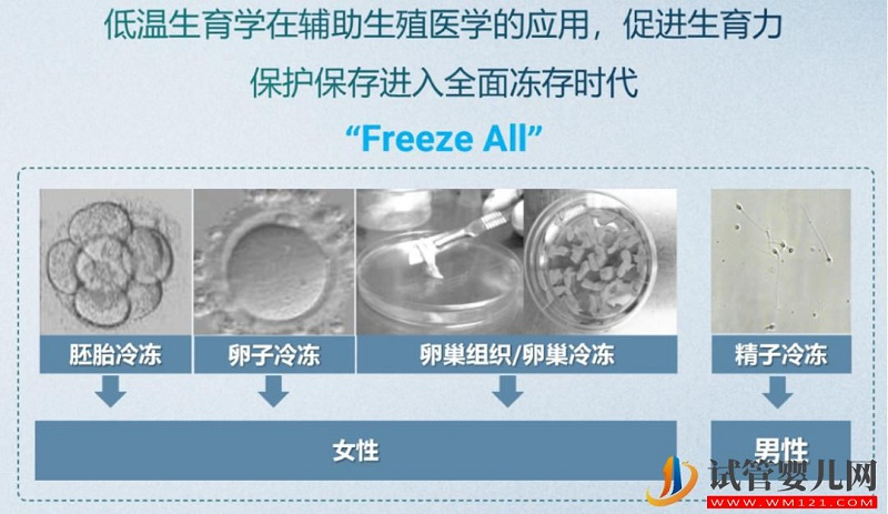 试管婴儿技术走到了哪一步？专家解答→(图5)