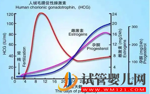 试管移植14天HCG值多少正常(图2)