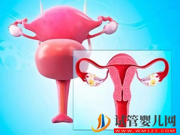 女性检查出子宫畸形可以怀孕生子吗？(图1)