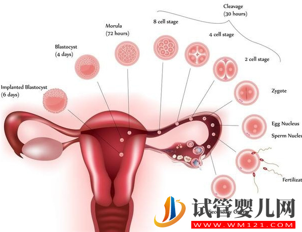 子宫腺肌有可能会癌变，这六种情况一定要重视起来(图1)