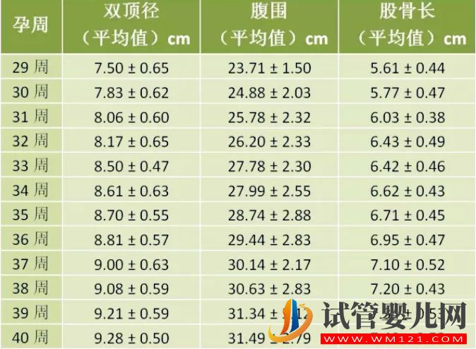 怀孕1-10月胎儿的发育标准及对照表，你知道吗？(图2)