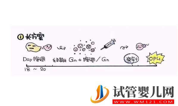 做试管促排费用要多少？(图3)