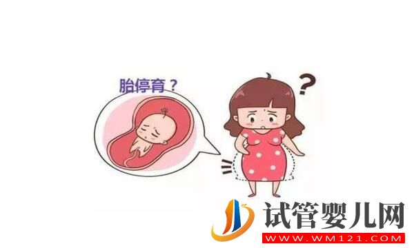 胎停育后能再次怀孕吗？(图1)