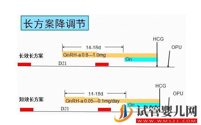 做试管促排方案不会选？(图1)