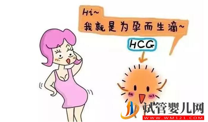 HCG对准妈妈有哪些作用？(图1)