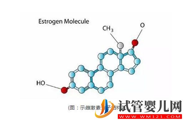 试管婴儿进周前检测雌激素是为什么？雌激素对于排卵进周的意义(图1)