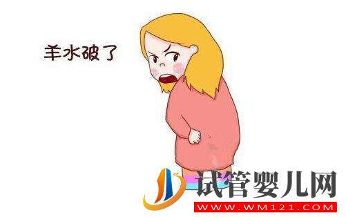 羊水的秘密你知道吗？带您了解女性的生育奥秘！(图3)