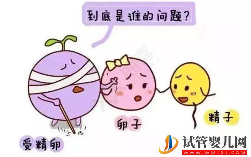 试管婴儿卵子质量真的没有办法提升吗？(图1)