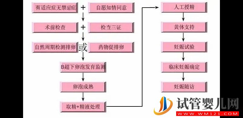 想要做试管婴儿不请假可以吗？(图2)