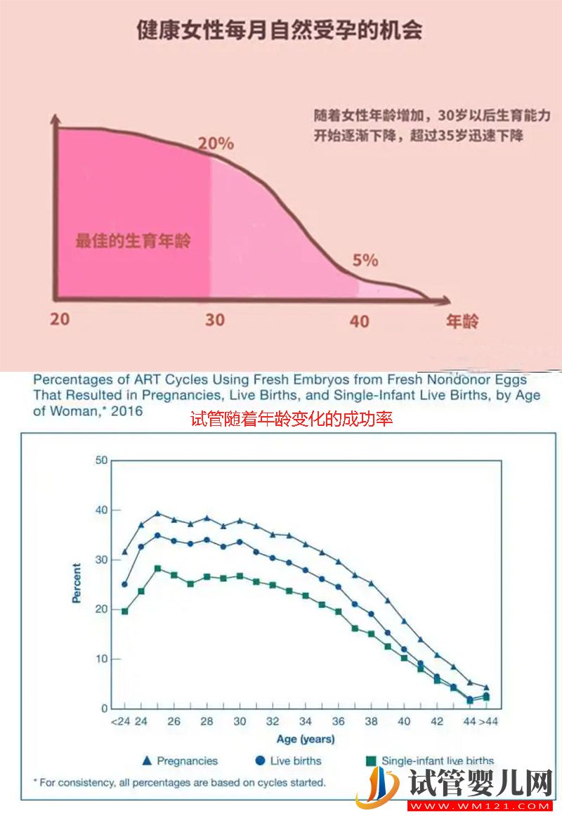 10个人做试管几个能成功?试管成功率是相对的不是绝对的!(图1)