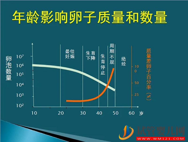 10个人做试管几个能成功?试管成功率是相对的不是绝对的!(图2)