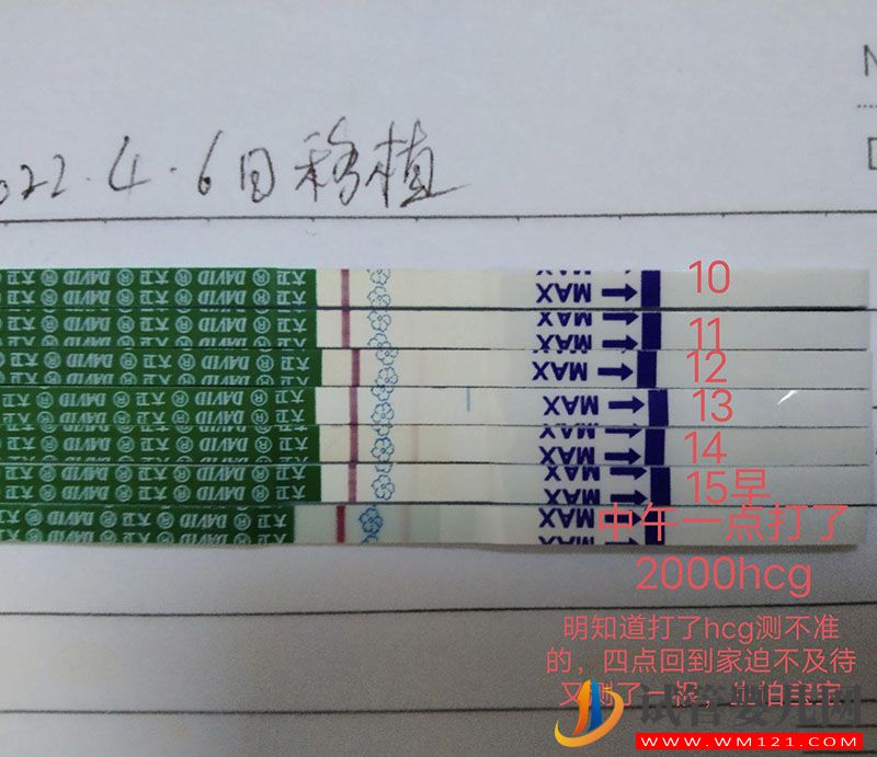 包生男孩就找第三代试管是真的吗?(图3)