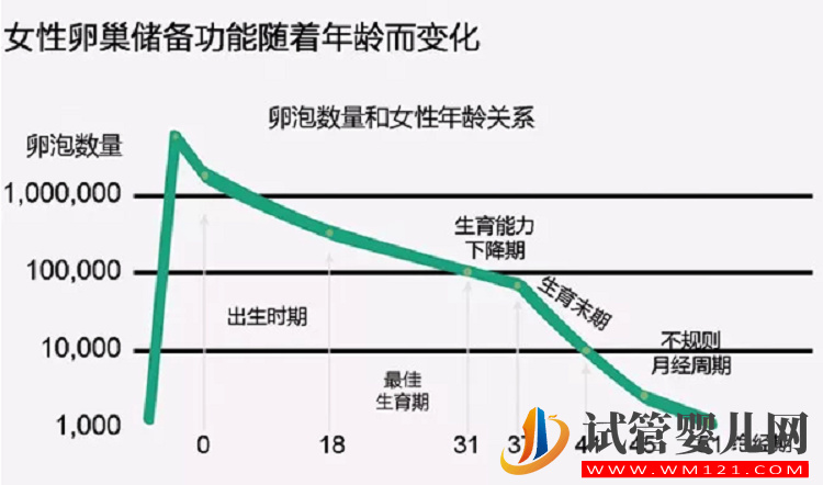 日常生活中如何调理因为高龄而导致的卵巢功能衰退(图1)