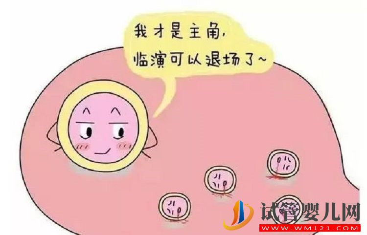 促排药吃完就想排卵？医生说要先看卵泡发育的情况(图1)