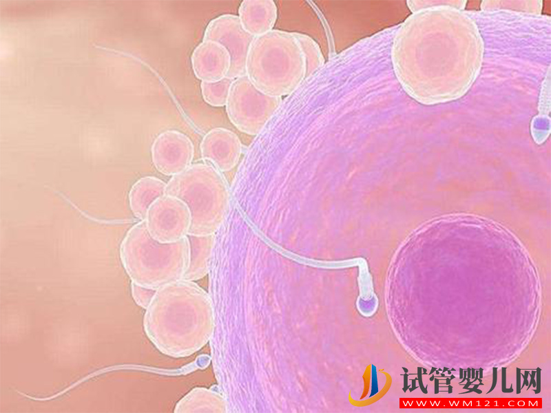 做人工授精自然周期也要分人，这3种情况成功率极低(图2)