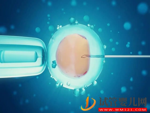 有黄体期促排卵做试管取卵成功的真实案例吗？(图1)