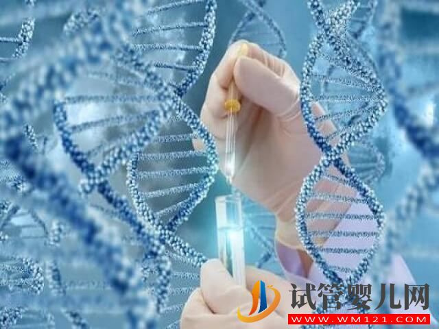 单身女性去丹麦精子库做iui的成功率大概是多少？(图1)