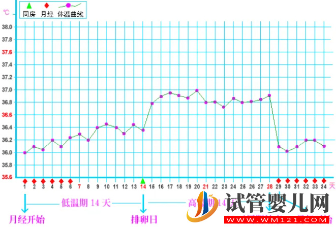 备孕期必看的排卵期体温曲线图，准确测定每一天排卵状态(图2)