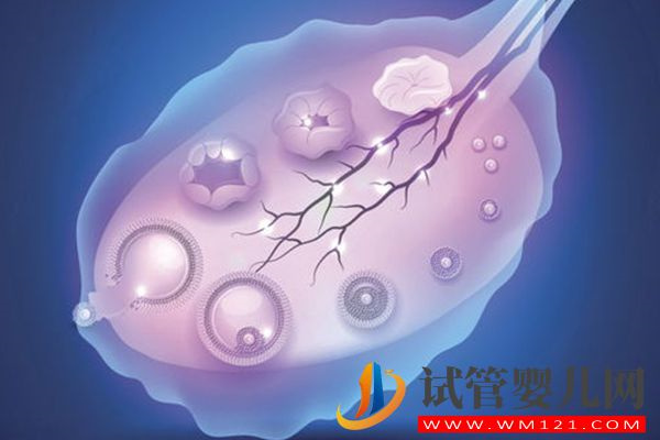 试管促排容易出空卵泡有4种情况，原来卵巢功能异常是主因(图1)