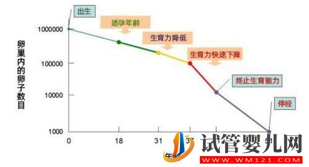 为什么做试管婴儿要趁早？年龄才是阻碍女性生育的敌人(图1)