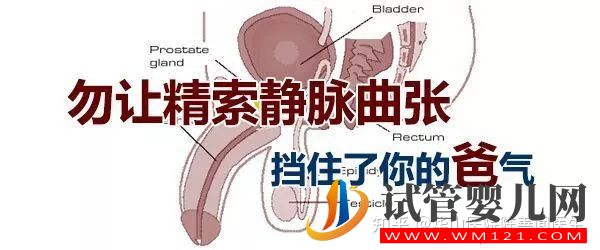 得了弱精子症别着急,看这篇文章就清楚了(图2)