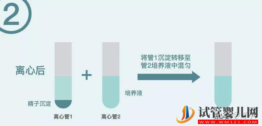 试管婴儿“洗精术”你了解多少?能一次洗干净吗(图1)