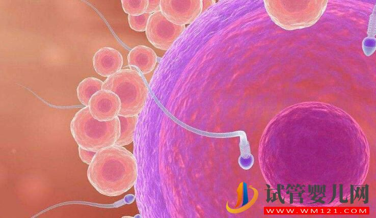 卵泡成熟遇到障碍怎么办 有什么有效的办法尽快怀孕？(图4)