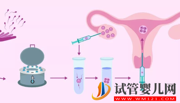 试管人工移植冻胚周期是什么流程，具体步骤有4个(图2)