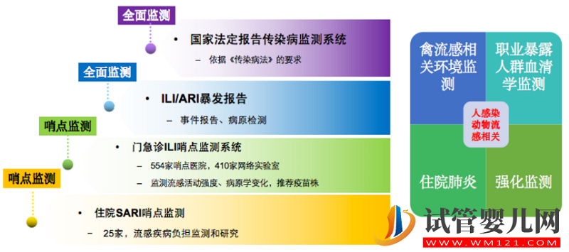 国家流感中心针对近期流感疫情形势分析(图5)