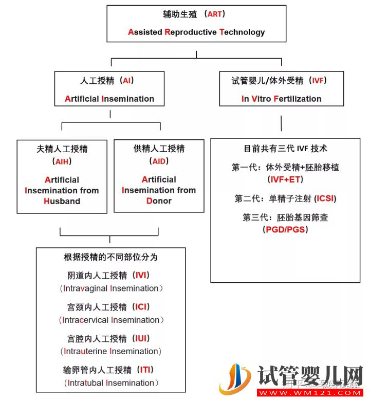 一篇文章看懂辅助生殖(图2)