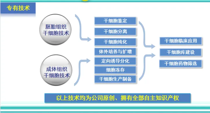 干细胞最全的科普，拿走不谢！(图6)