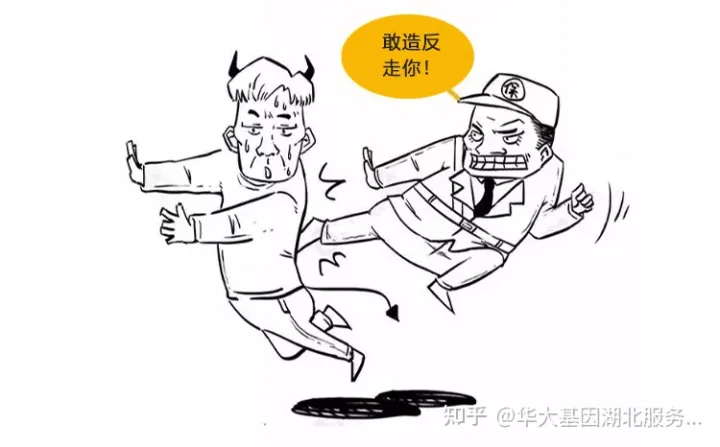 什么是干细胞？一文让你读懂！(图10)