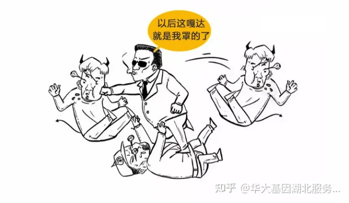 什么是干细胞？一文让你读懂！(图13)