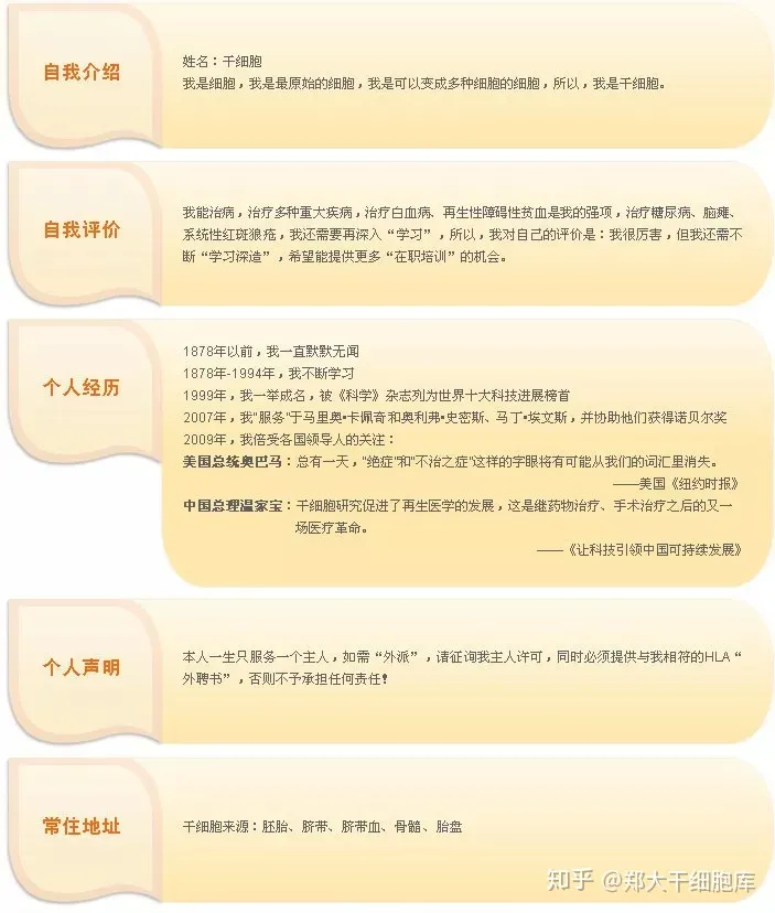 干细胞简介——什么是干细胞？(图2)