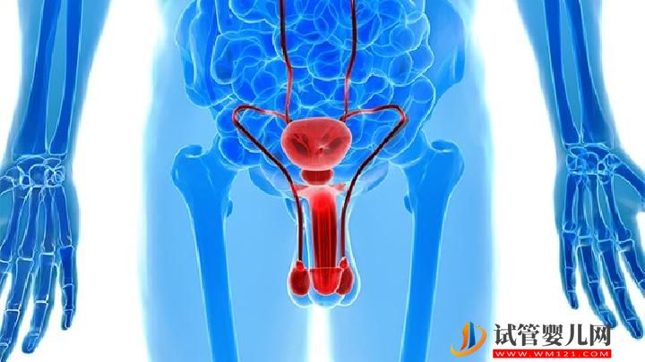 男性不育的病因有哪些？男性不育大多与这4大因素有关(图3)