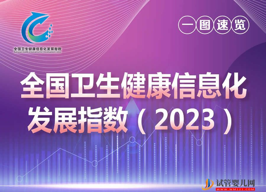 全国卫生健康信息化发展指数（2023）发布(图1)