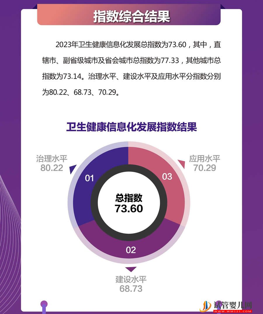 全国卫生健康信息化发展指数（2023）发布(图3)