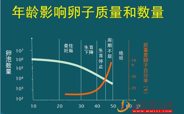 高龄生子做“试管婴儿”非万能药！谈谈各年龄段怀孕成功率 (图2)